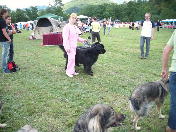 CAC Trbovlje, 29.08.2010 - foto