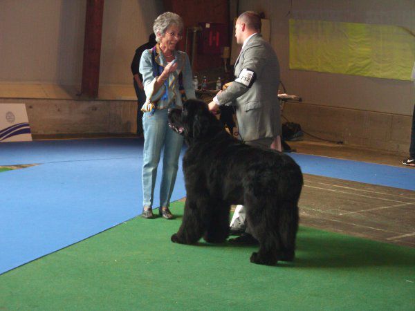 European dog show, 30.09 2010 - foto povečava