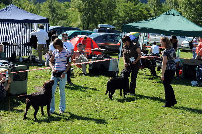 Razstava psov: CAC TRBOVLJE, 29.08.2010 - foto povečava