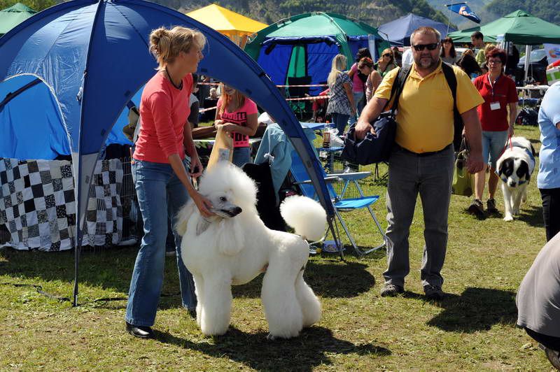 Razstava psov: CAC TRBOVLJE, 29.08.2010 - foto povečava