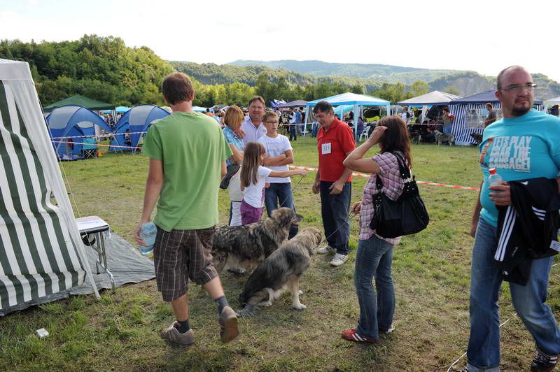 Razstava psov 2: CAC Trbovlje, 29.08.2010 - foto povečava