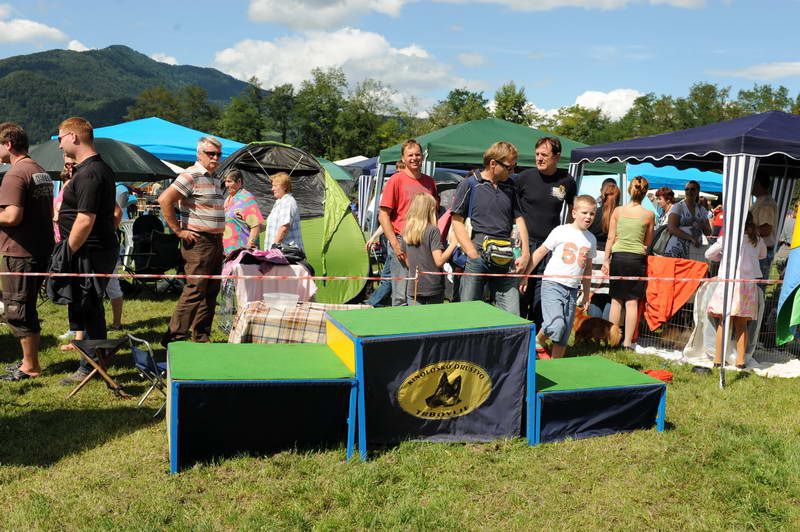 Razstava psov 2: CAC Trbovlje, 29.08.2010 - foto povečava