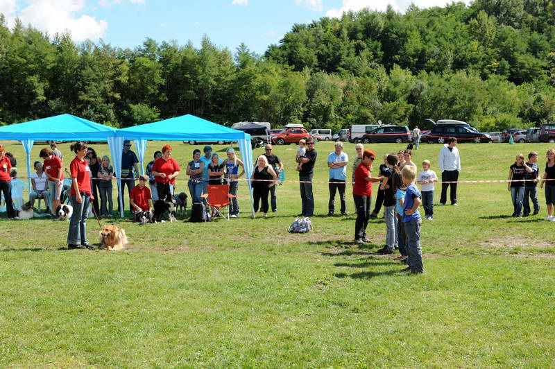 Razstava psov 2: CAC Trbovlje, 29.08.2010 - foto povečava