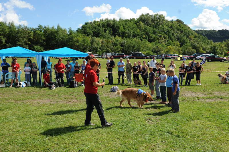 Razstava psov 2: CAC Trbovlje, 29.08.2010 - foto povečava