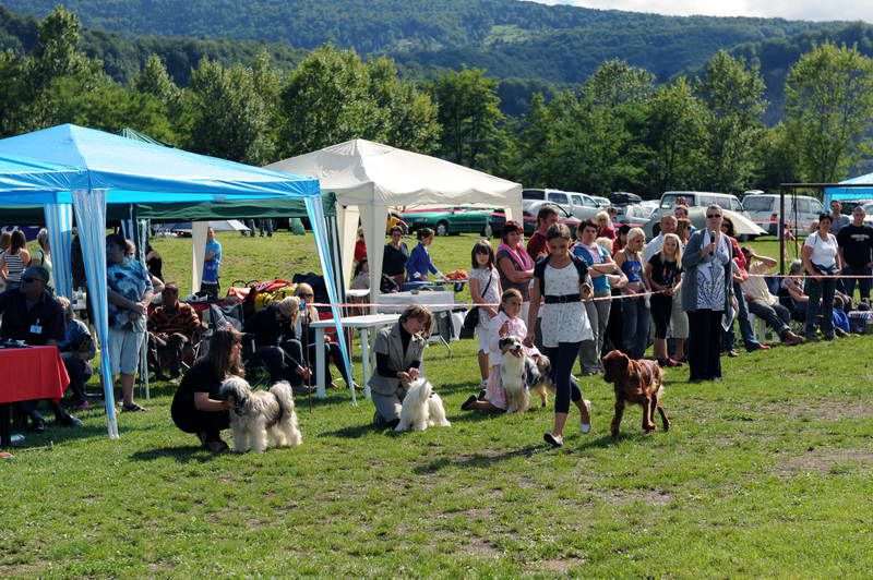 Razstava psov 2: CAC Trbovlje, 29.08.2010 - foto povečava