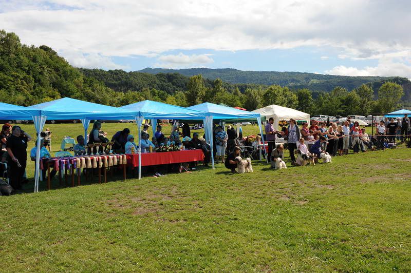 Razstava psov 2: CAC Trbovlje, 29.08.2010 - foto povečava