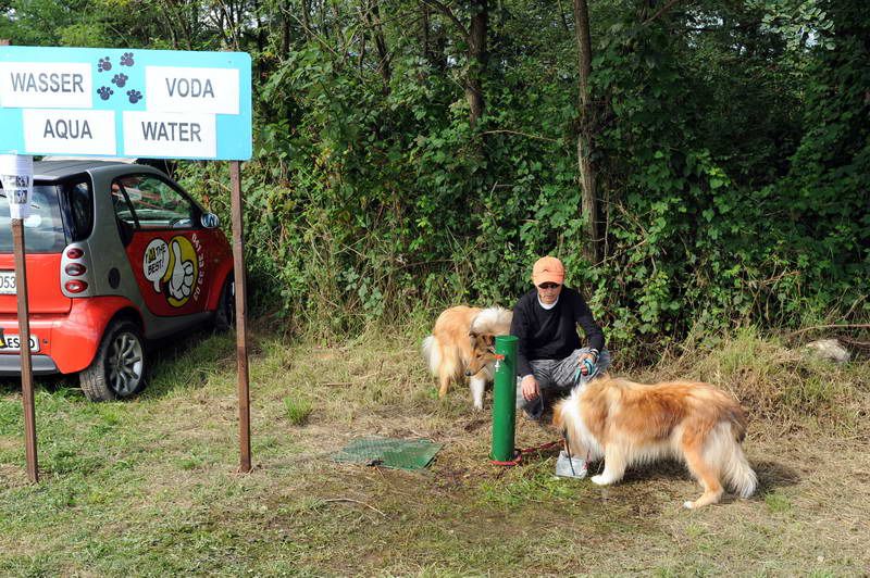 Razstava psov 2: CAC Trbovlje, 29.08.2010 - foto povečava