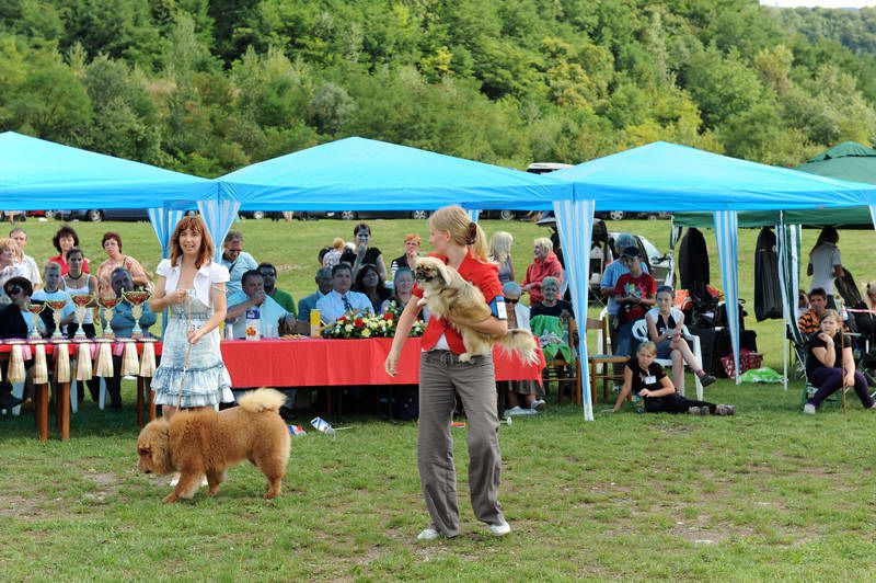 Razstava psov 2: CAC Trbovlje, 29.08.2010 - foto povečava