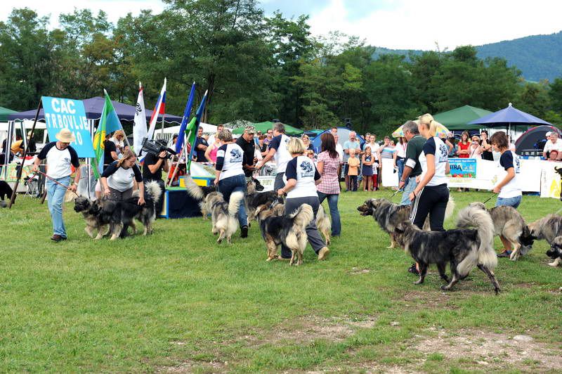 Razstava psov 2: CAC Trbovlje, 29.08.2010 - foto povečava