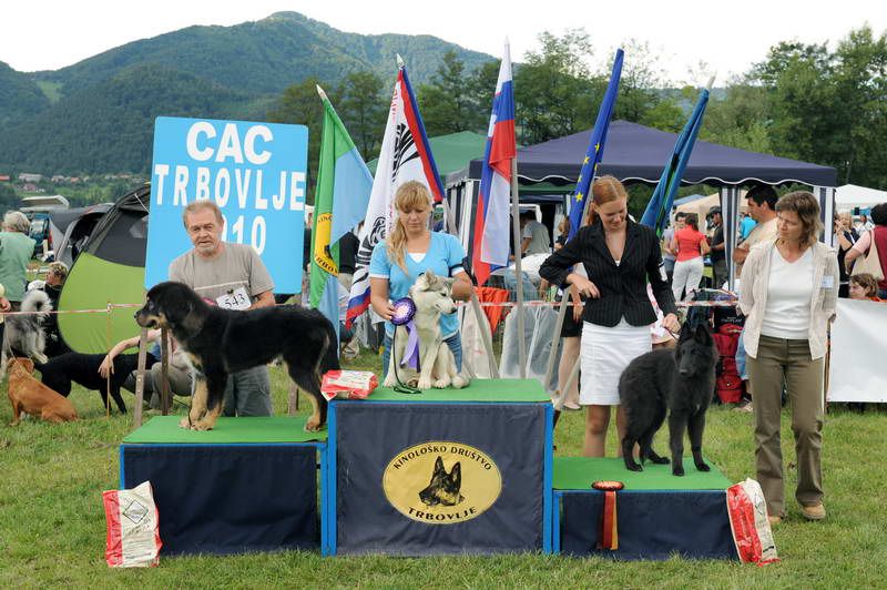 Razstava psov 2: CAC Trbovlje, 29.08.2010 - foto povečava