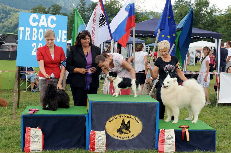 Razstava psov 2: CAC Trbovlje, 29.08.2010 - foto povečava