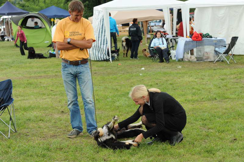 Razstava psov 2: CAC Trbovlje, 29.08.2010 - foto povečava