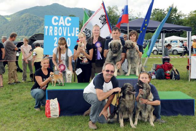 Razstava psov 2: CAC Trbovlje, 29.08.2010 - foto