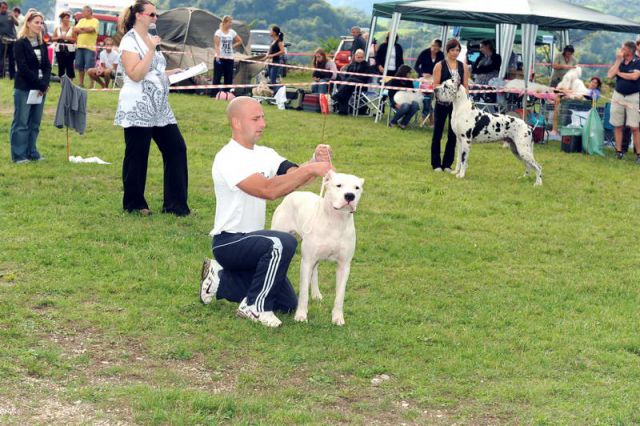 Razstava psov 2: CAC Trbovlje, 29.08.2010 - foto