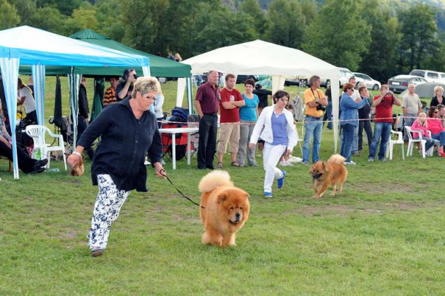 Razstava psov 2: CAC Trbovlje, 29.08.2010 - foto