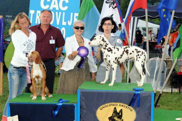 Razstava psov 2: CAC Trbovlje, 29.08.2010 - foto