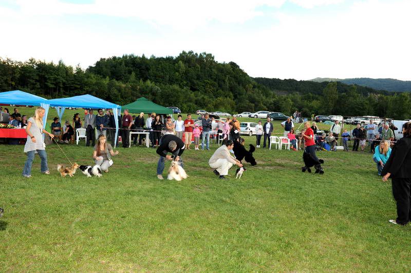 Razstava psov 3: CAC Trbovlje, 29.08.2010 - foto povečava