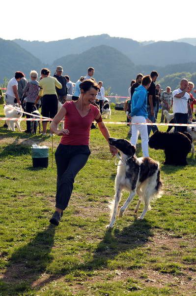 Razstava psov 3: CAC Trbovlje, 29.08.2010 - foto povečava