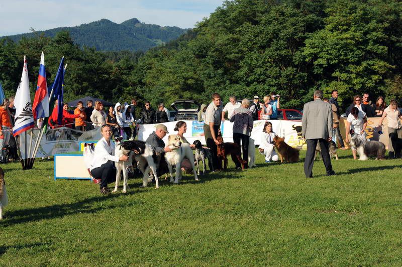 Razstava psov 3: CAC Trbovlje, 29.08.2010 - foto povečava