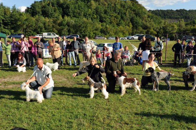 Razstava psov 3: CAC Trbovlje, 29.08.2010 - foto