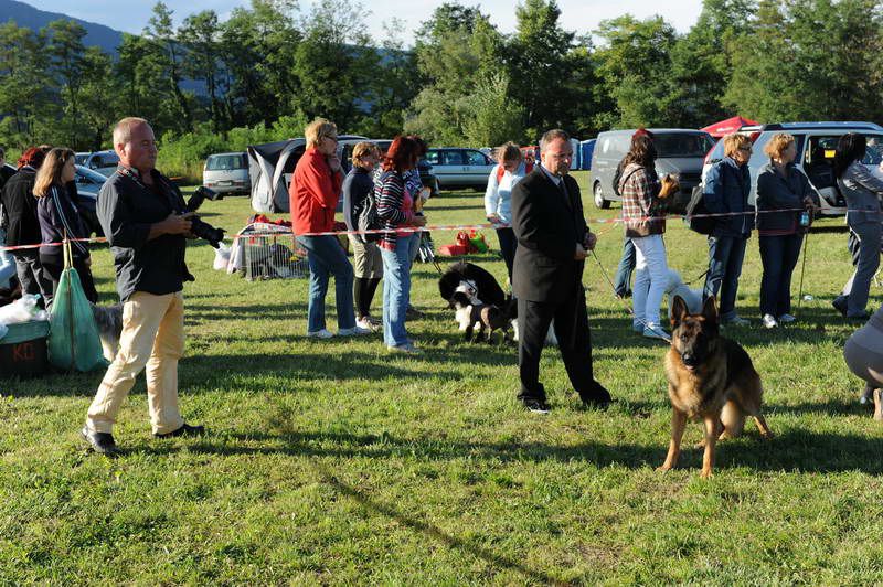 Razstava psov 3: CAC Trbovlje, 29.08.2010 - foto povečava