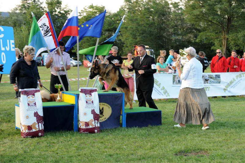 Razstava psov 3: CAC Trbovlje, 29.08.2010 - foto povečava