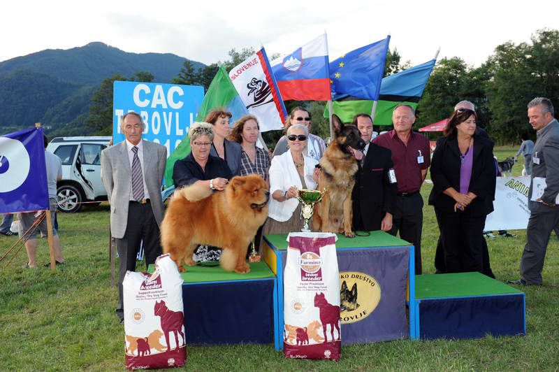 Razstava psov 3: CAC Trbovlje, 29.08.2010 - foto povečava