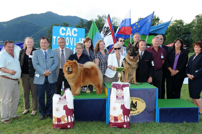 Razstava psov 3: CAC Trbovlje, 29.08.2010 - foto povečava