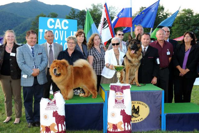 Razstava psov 3: CAC Trbovlje, 29.08.2010 - foto