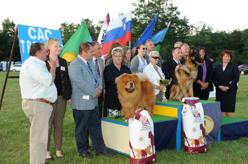 Razstava psov 3: CAC Trbovlje, 29.08.2010 - foto povečava