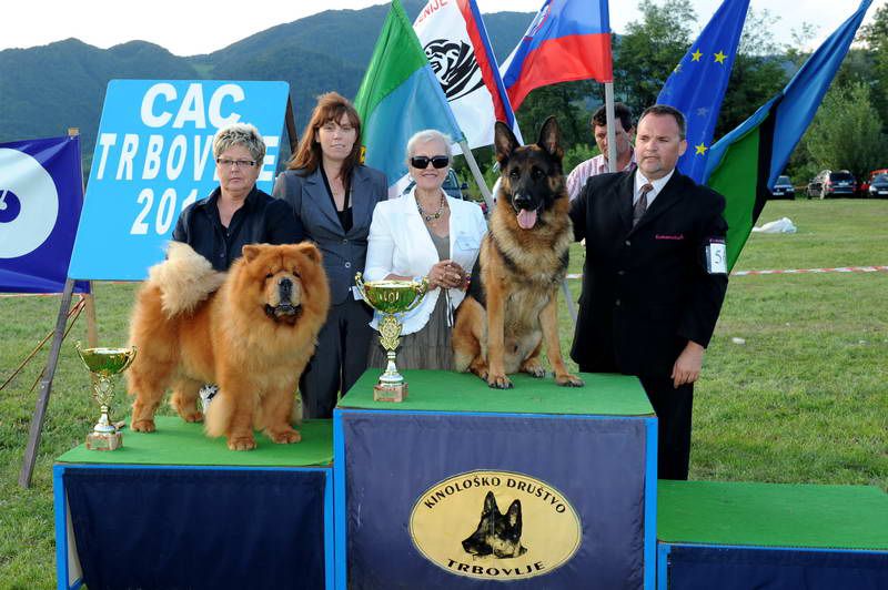 Razstava psov 3: CAC Trbovlje, 29.08.2010 - foto povečava