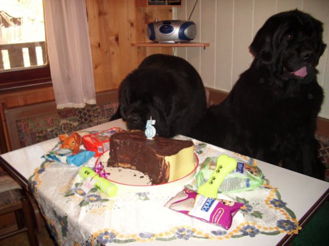 Sona 5th b-day - foto