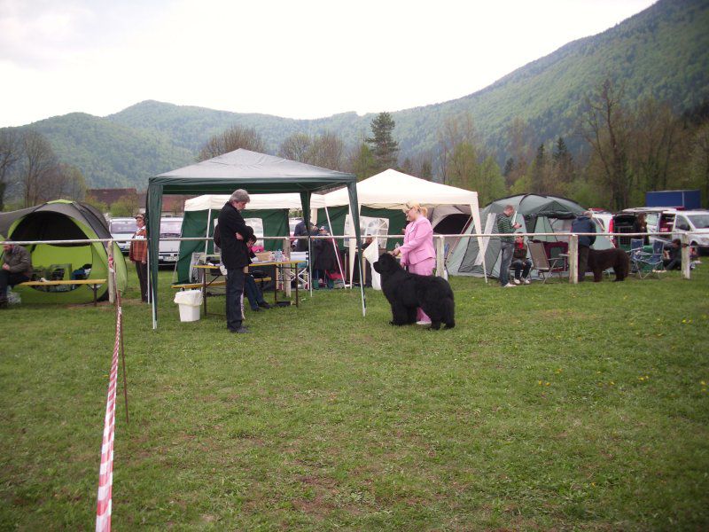 Cac barje,17.04.2011 - foto povečava