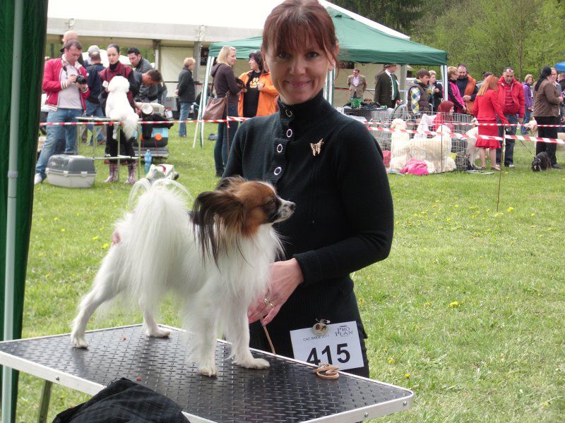 Cac barje,17.04.2011 - foto povečava