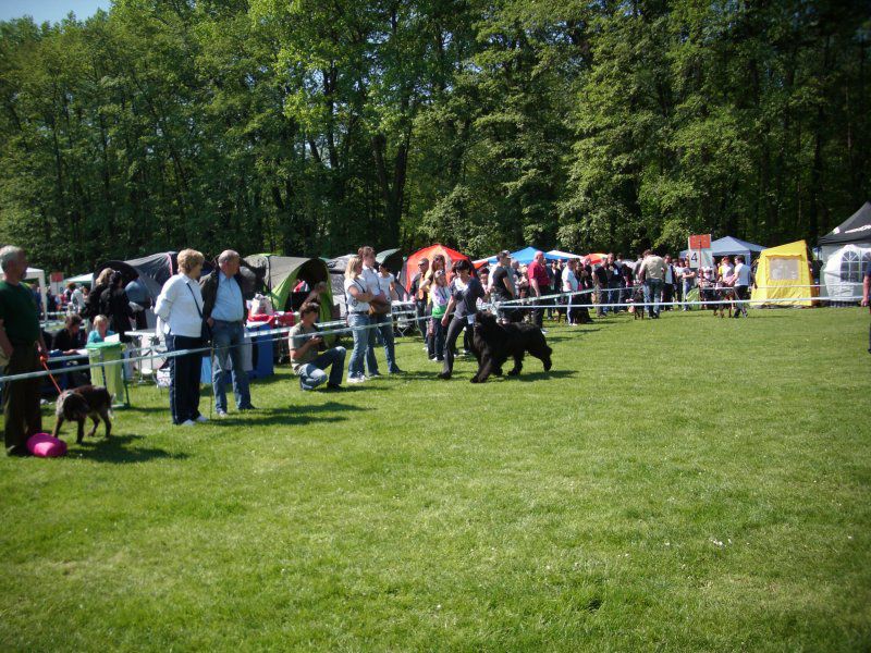 CACIB Maribor, 07.05.2011 - foto povečava
