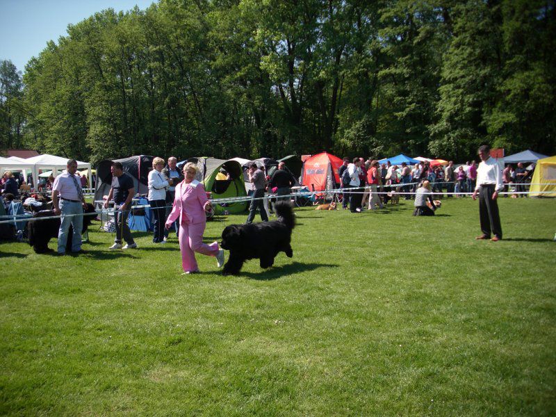 CACIB Maribor, 07.05.2011 - foto povečava