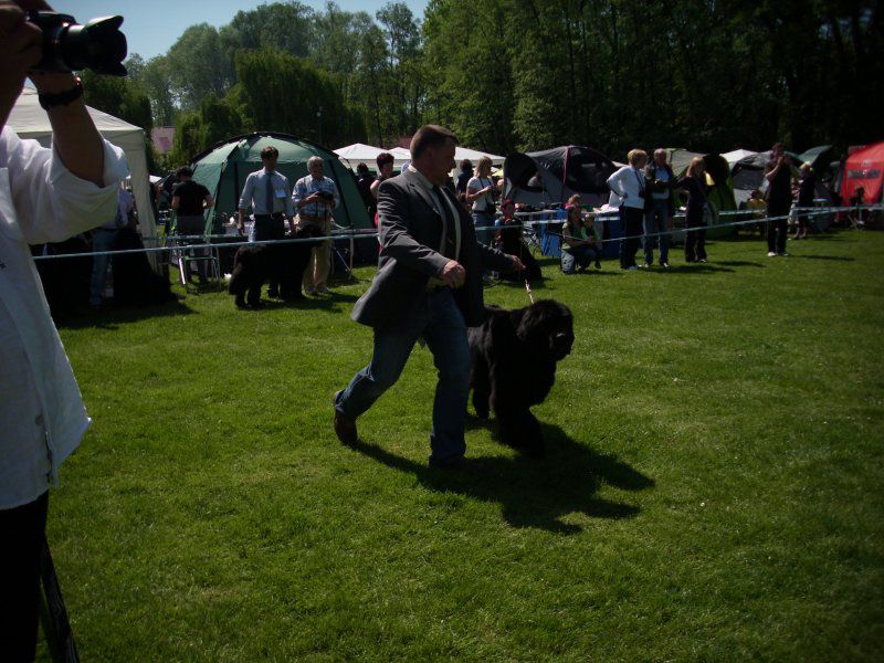CACIB Maribor, 07.05.2011 - foto povečava