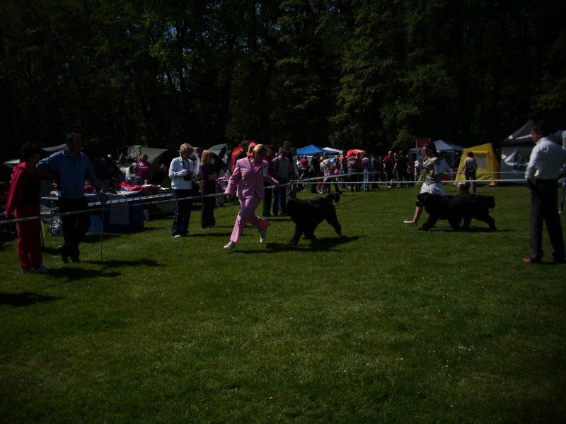 CACIB Maribor, 07.05.2011 - foto povečava