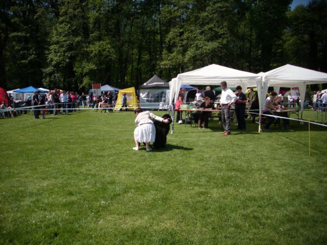 CACIB Maribor, 07.05.2011 - foto