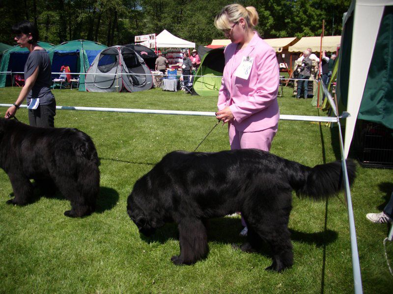 CACIB Maribor, 07.05.2011 - foto povečava