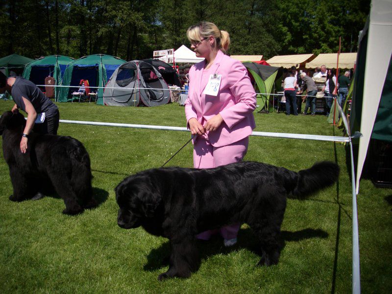 CACIB Maribor, 07.05.2011 - foto povečava