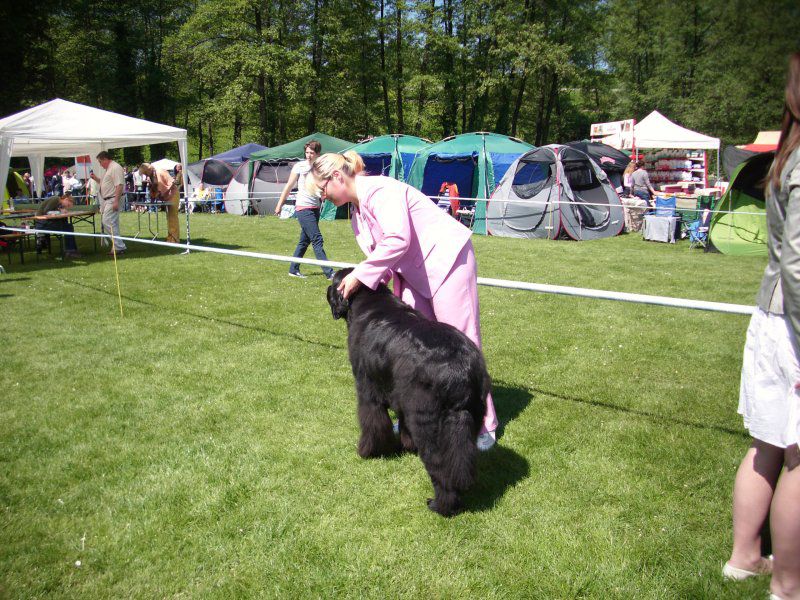 CACIB Maribor, 07.05.2011 - foto povečava