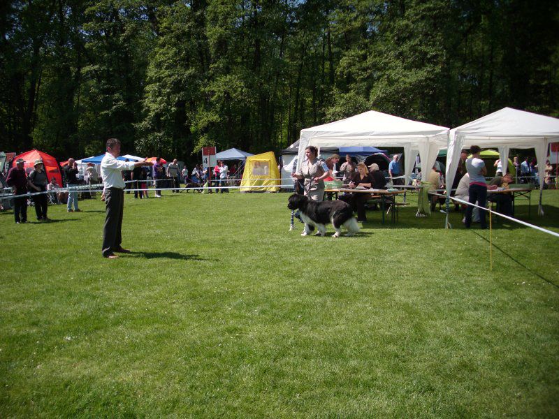 CACIB Maribor, 07.05.2011 - foto povečava