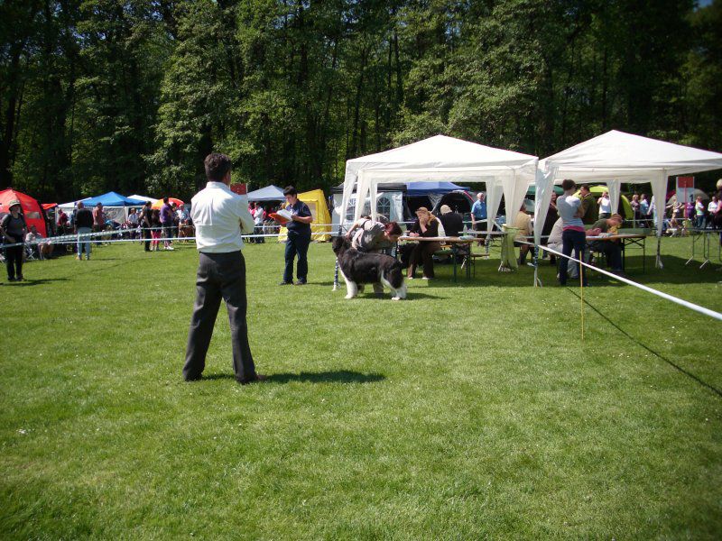 CACIB Maribor, 07.05.2011 - foto povečava
