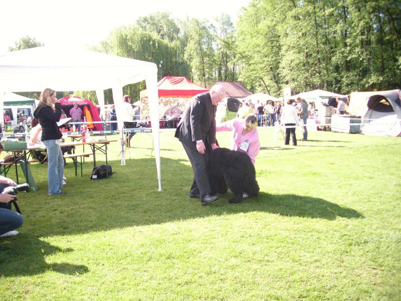 Cacib pohorje, 08.05.2011 - foto povečava