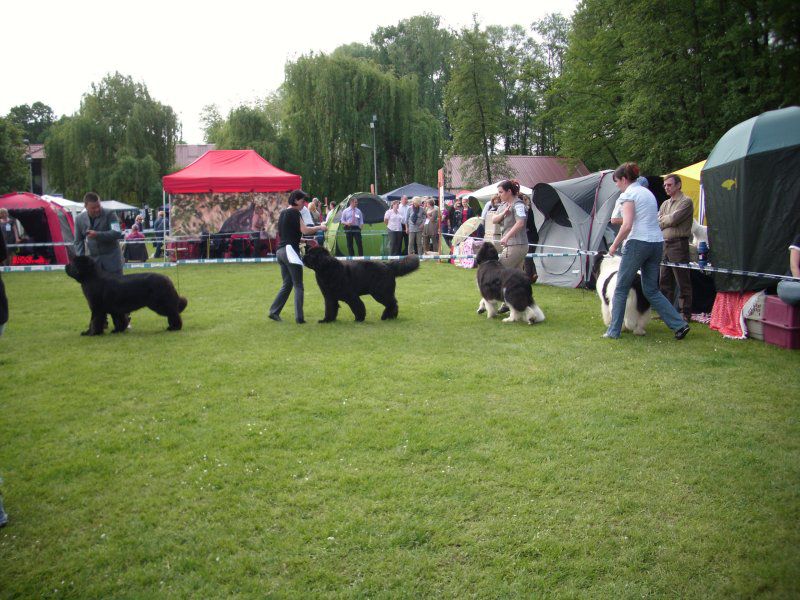 Cacib pohorje, 08.05.2011 - foto povečava