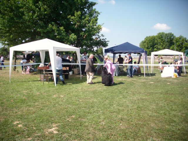 CAC Koprivnica, 12.06.2011 - foto