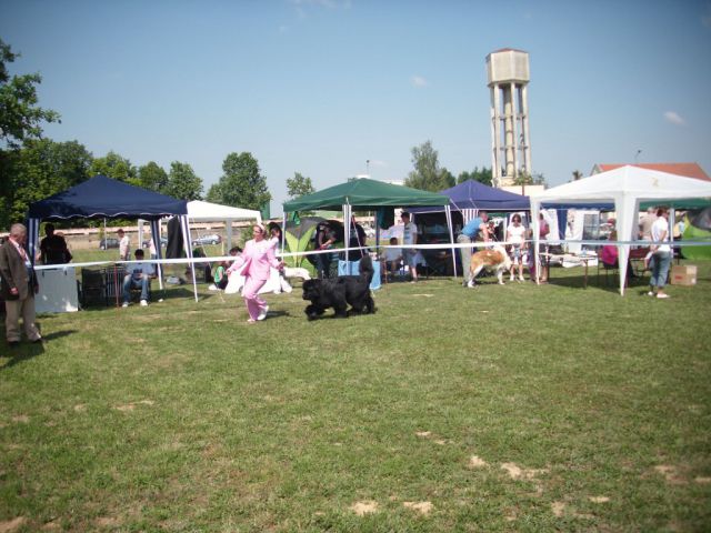 CAC Koprivnica, 12.06.2011 - foto