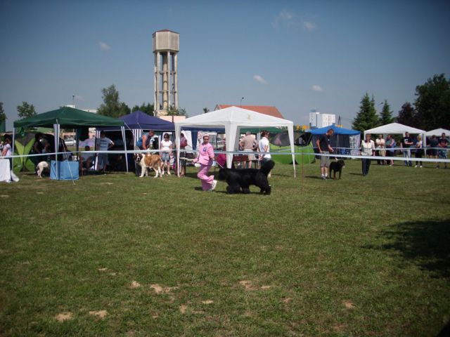 CAC Koprivnica, 12.06.2011 - foto