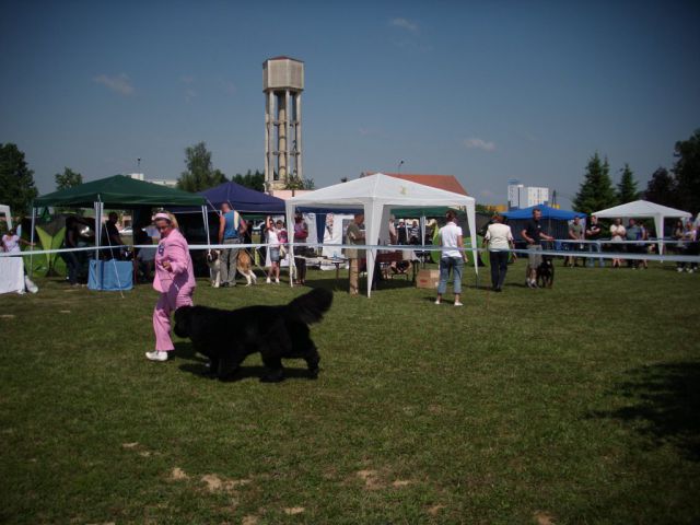 CAC Koprivnica, 12.06.2011 - foto